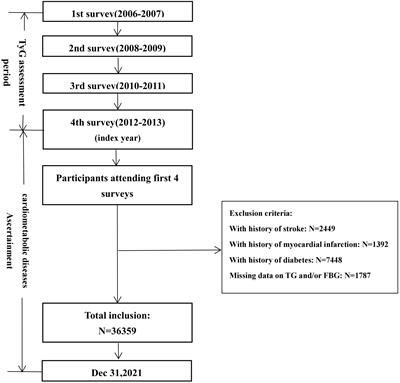Association of long-term triglyceride-glucose index level and change with the risk of cardiometabolic diseases